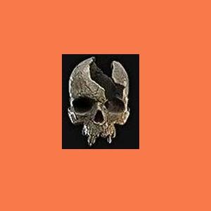 1x Chipped Skull