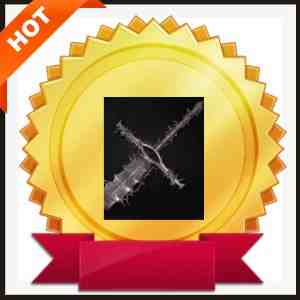 Luminous Abiding Defender Sword +10