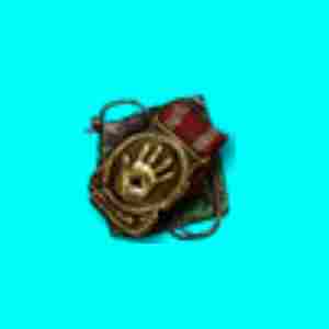 Arjun's Medal