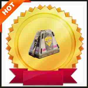 Looting Mk.3 Survivor