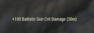 Guns and Bullets 3 002.jpg