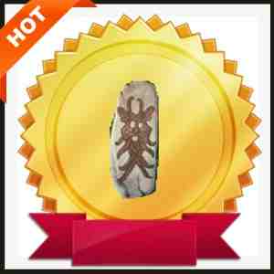 Shimmering Grand Charm